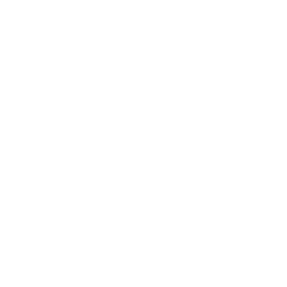 Logo del hospedaje los cisnes en el calafate
